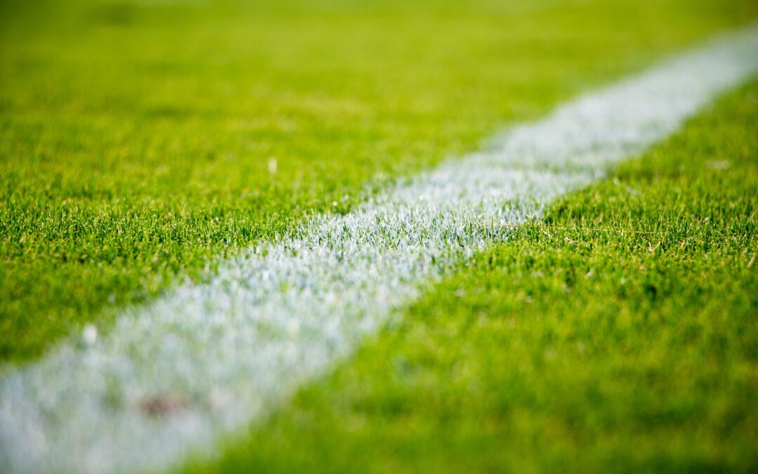 Chalking the Field: A Framework for Navigating Career Transitions